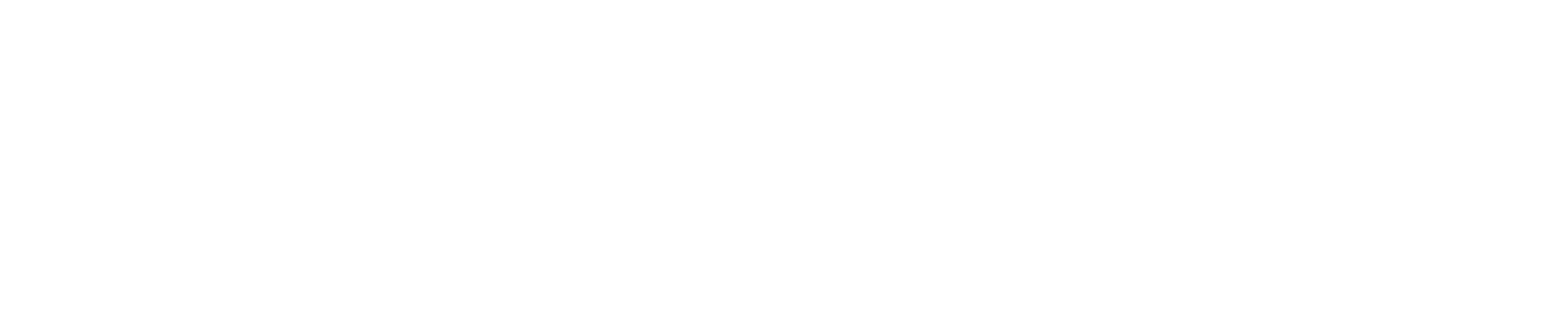 ODION