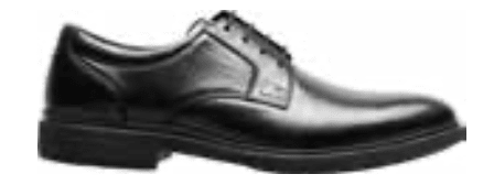 Forecast II | Plain Toe - ODION12209-001-7M
